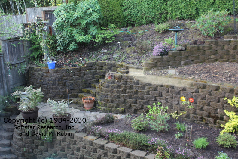 BackYard1.JPG